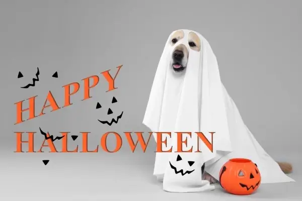 Happy Halloween from Loans, Inc.